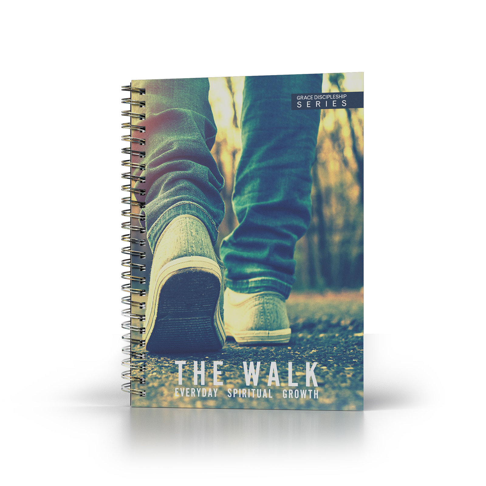 The Walk Book Cover